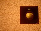 BLACK DYKE MILLS BAND THINGUMYBOB APPLE 4