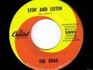 Garage/Psych - The Shag - 
