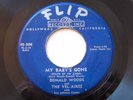 DONALD WOODS/VEL-AIRES DOOWOP FLIP 45 MY BABY'S GONE