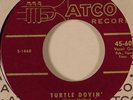 THE COASTERS Down In Mexico/Turtle Dovin FIRST PRESS 45