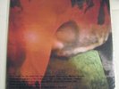 JIM O'ROURKE Neon Gallery LP Sonic Youth Wolf Eyes NWW