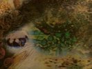 PINK FLOYD.SAUCERFUL OF SECRETS.LP.BLUE/BLACK.MONO.MINT