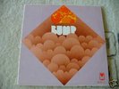 BUMP Rare US Psychedelic Orig.Lp 1970 Pioneer MINT-