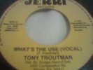 tony troutman-what's the use (vocal) 7