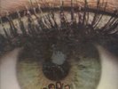 The Freak Scene-Psychedelic Psoul LP still in shrink