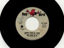 SEVEN OF US HOW COULD YOU RARE WLP PROMO 45 PRE-NRBQ