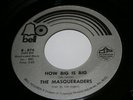 NORTHERN SOUL MASQUERADERS - HOW BIG IS BIG