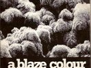 A BLAZE COLOUR - Dark trees beyond / Belgian Punk 45