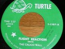 Rare 1967 MN Psych 45 THE CALICO WALL - Turtle 1107
