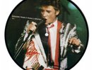 JOHNNY HALLYDAY RARE PICTURE DISC 45 T RR030 NUMEROTE