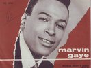 MARVIN GAYE-Baby don't you do it/Walk on the wild side-