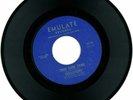 Emulations RARE Funk 45 on Emulate