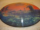 PINK FLOYD  MORE  picture pic disc lp rare