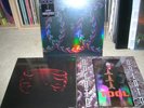 3x TOOL LATERALUS PIC DISC + OPIATE UNDERTOW LP