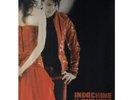INDOCHINE le grand secret double maxi vinyl