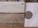 VINCENT GALLO - WHEN Rare Ltd Warp LP (Bohack) MINT-
