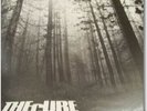 THE CURE - A FOREST 12