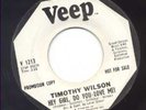 Timothy Wilson on VEEP, 45 RPM, SOUL