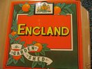 ENGLAND- GARDEN SHED RARE PROG IN GREAT CONDITION