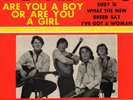THE BARBARIANS FRENCH EP ARE YOU A BOY OR ARE YOU A GIR