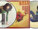 KATE BUSH KICK INSIDE ORIGINAL PRESSING PICTURE DISC