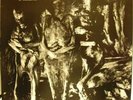 NURSE WITH WOUND insect & individual silenced LP NWW EX
