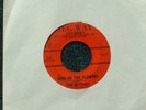 RARE   THE HI-TONES   SURE AS THE FLOWERS   1961  