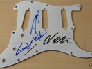 FOO FIGHTERS autographed ELECTRIC GUITAR PICK GAURD