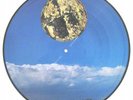 Steven Wilson ALTAMONT Pic Disk V. RARE Porcupine Tree