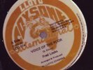 Fred Locks & Levi Roots - Voice of the Poor Jah Shaka