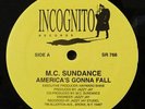 M.C. Sundance America's Gonna Fall Jazzy Jay