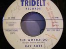 Ray Agee 
