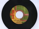BELVA/TEN THOUSAND LION - PRINCE HAMMER [ROOTS REGGAE]