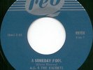 MG & THE ESCORTS a someday fool KILLER 67 GARAGE HEAR