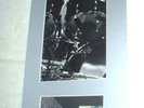 COZY POWELL Drums VINTAGE SIGNED PHOTO DISPLAY W/COA