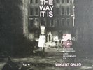 The Way It Is LP Vincent Gallo Autographed NR