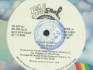 SKYY- HERE'S TO YOU **WL PROMO 12