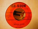 PAGENS RARE MICHIGAN GARAGE 45 ISH-KOOM FENTON HEAR