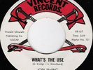 JOEY IRVING What's The Use VINCENT Funk 45