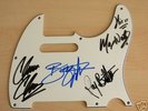 SPRINGSTEEN & THE E BAND signed GUITAR PICK GUARD