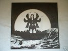 ASTRAL NAVIGATIONS HOLYGROUND VINYL LP (BILL NELSON)