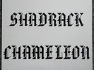 SHADRACK - CHAMELEON-  US GARAGE PSYCH FOLK - SEALED