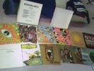 INTERNATIONAL ARTISTS BOX SET 13th floor elevators-NM