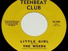 THE WEEDS It's Your Time 1966 GARAGE PUNK - NO RESERVE