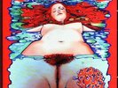 BABY WOODROSE Blows your mind  LP NEW psychedelic gem
