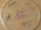 PRINCE & THE REVOLUTIONS  signed DRUM SKIN w/COA