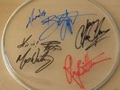 SPRINGSTEEN & THE E BAND signed DRUM SKIN w/COA