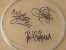 THE CLASH autographed signed DRUM SKIN w/COA