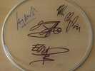 U2 autographed signed DRUM SKIN w/COA