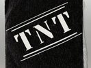 TNT RARE SPANISH PUNK FLIPPER MELVINS 1982 HARDCORE